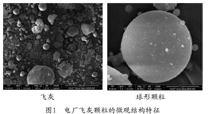 圖1　電廠飛灰顆粒的微觀結構特征